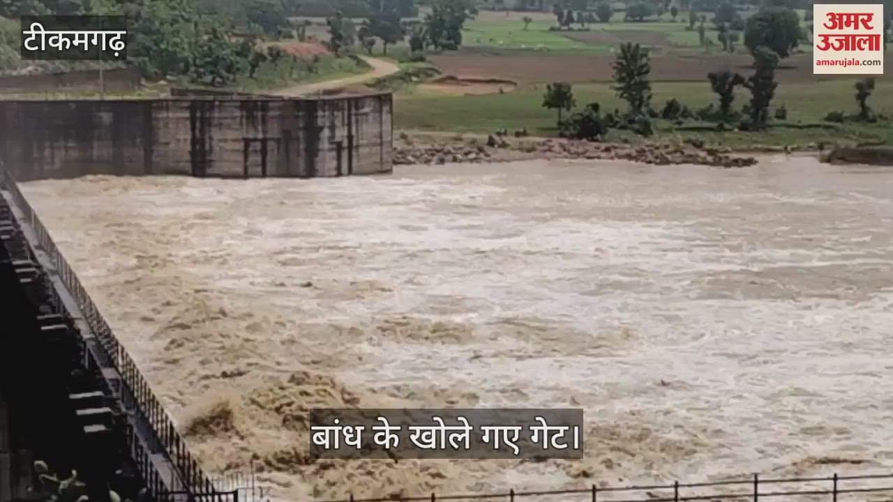 Tikamgarh News: Dhasan river in spate, seven gates of Bansujara dam opened