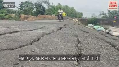 Shahdol News: Bagaiya-Bangwar bridge washed away due to heavy rain in Shahdol