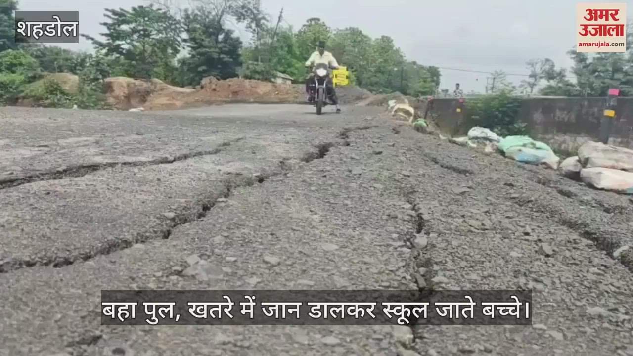 Shahdol News: Bagaiya-Bangwar bridge washed away due to heavy rain in Shahdol