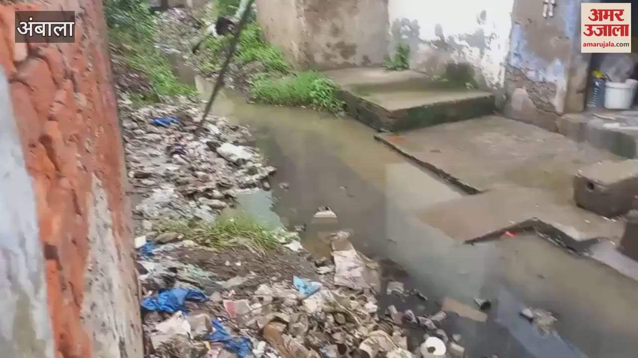 Drains are clogged with garbage in Ambala, shopkeepers are cursing the Municipal Corporation