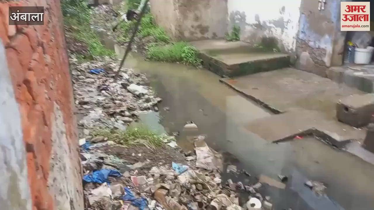 Drains are clogged with garbage in Ambala, shopkeepers are cursing the Municipal Corporation
