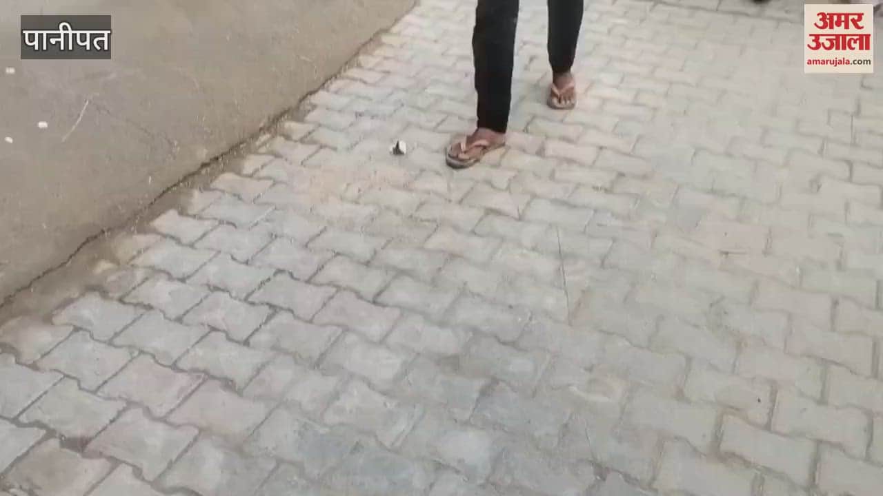 son died in an accident caused by a bear in Uttarakhand, his mother also died of shock in Panipat