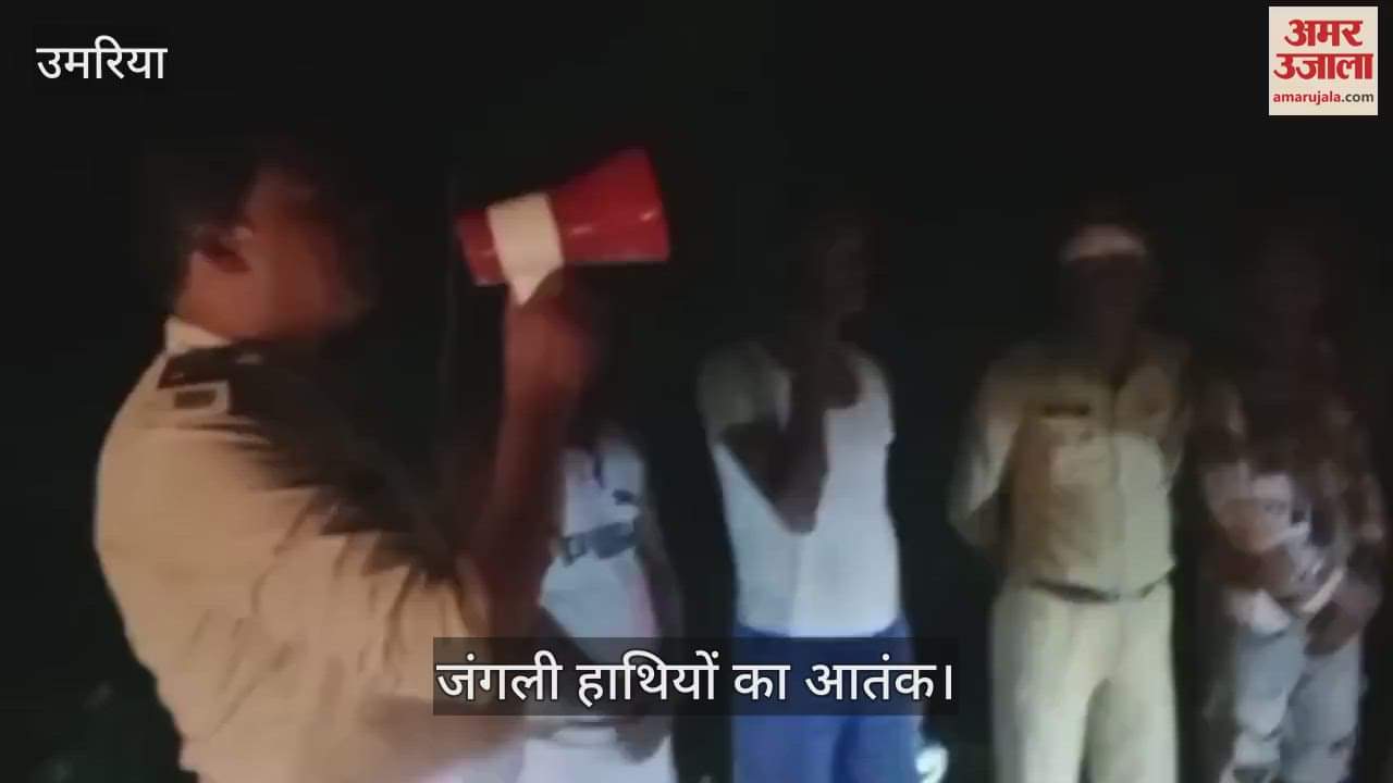 Terror of wild elephants, terror of wild elephants in Ghunaghuti forest area