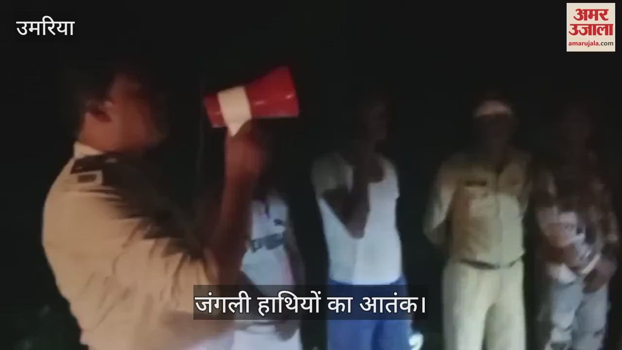 Terror of wild elephants, terror of wild elephants in Ghunaghuti forest area