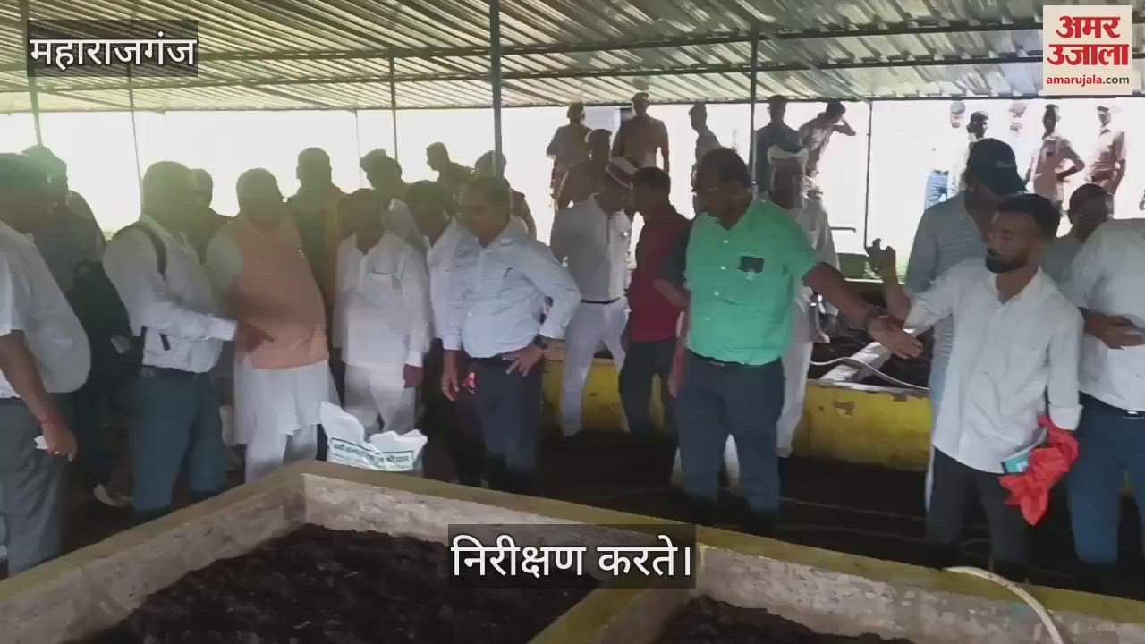 Government representative did local inspection of plantation campaign