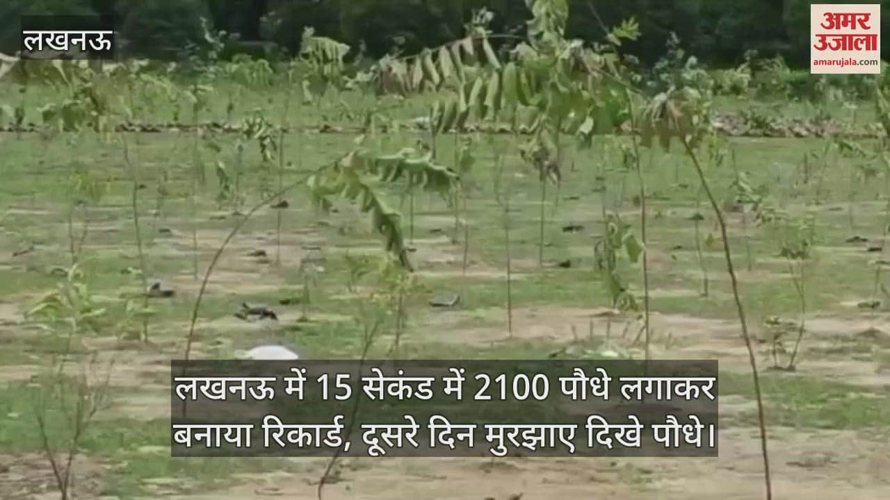 लखनऊ में 15 सेकंड में 2100 पौधे लगाकर बनाया रिकार्ड, दूसरे दिन मुरझाए दिखे पौधे