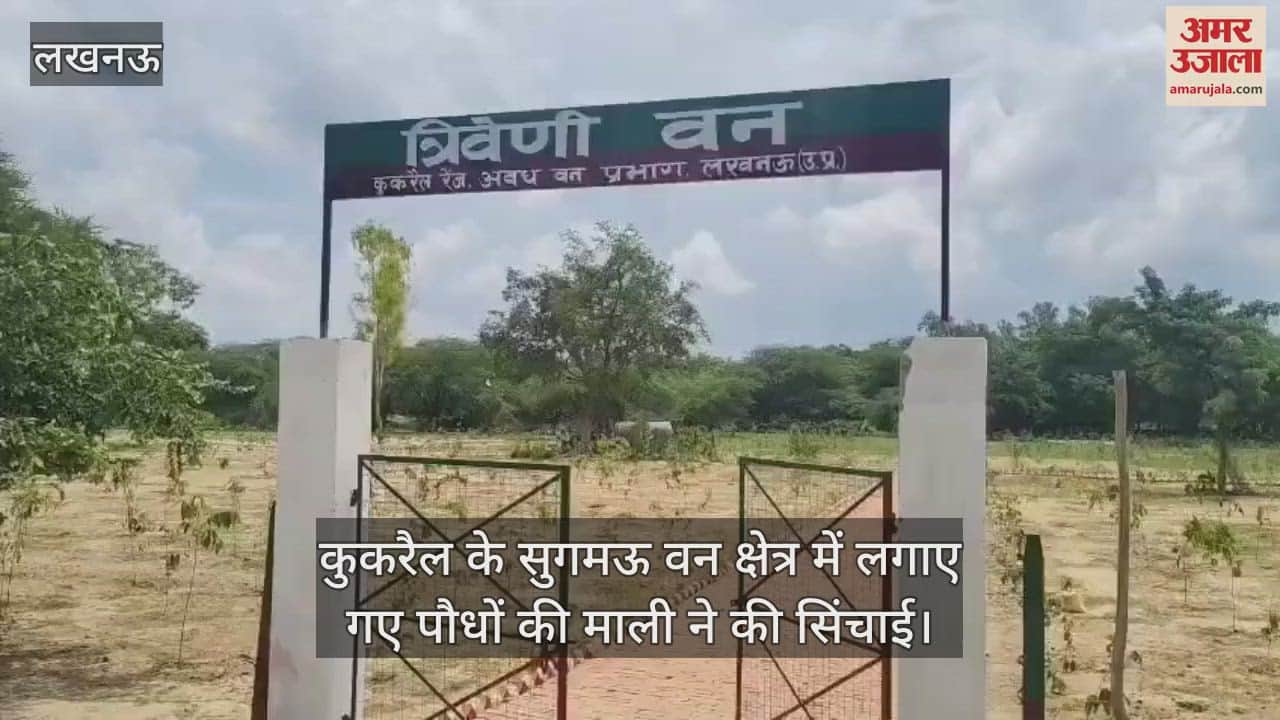 कुकरैल के सुगमऊ वन क्षेत्र में लगाए गए पौधों की माली ने की सिंचाई