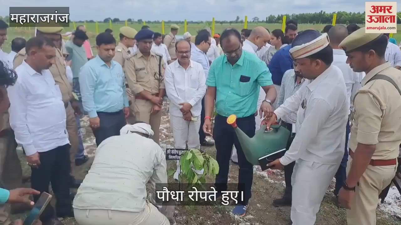 Gave the message of environmental protection by planting trees