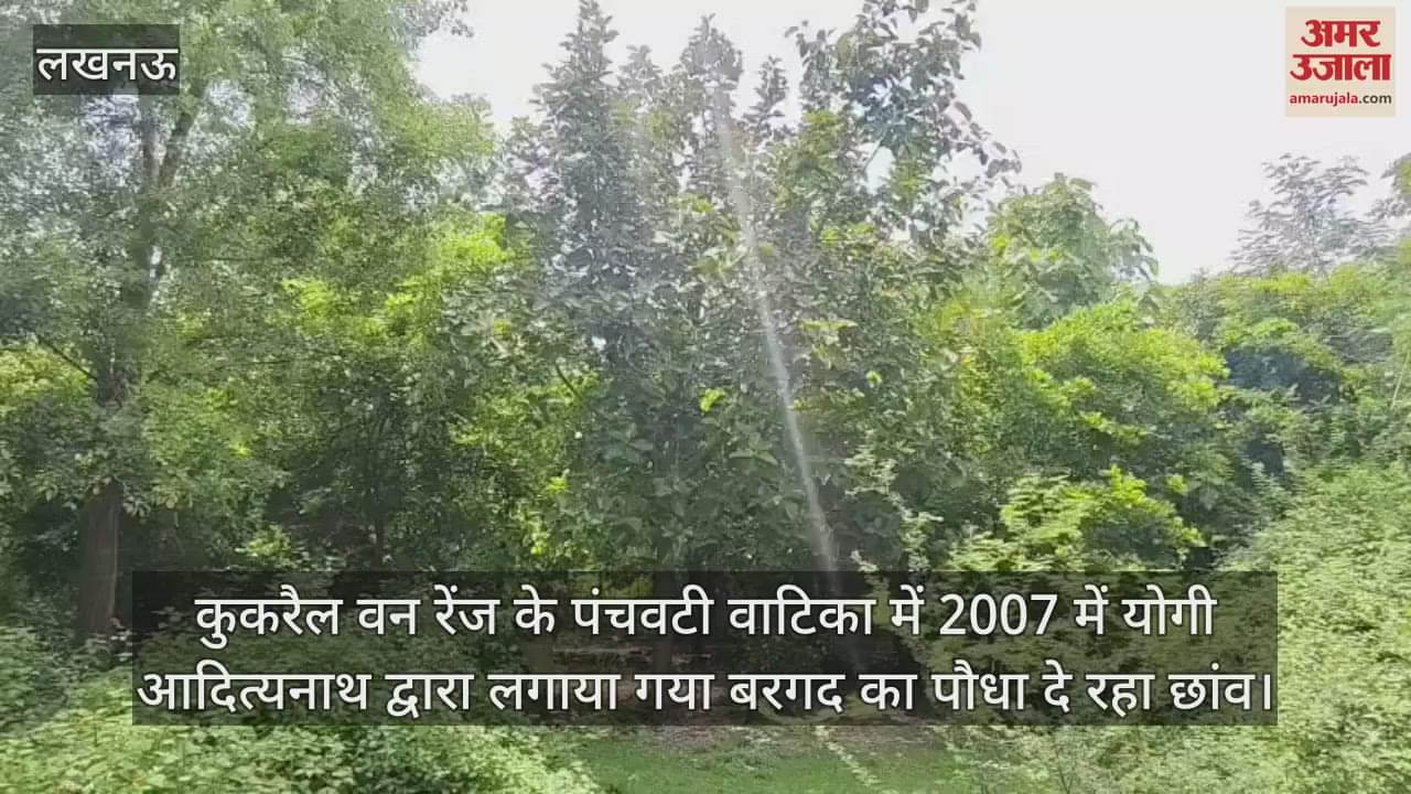 कुकरैल वन रेंज के पंचवटी वाटिका में 2007 में योगी आदित्यनाथ द्वारा लगाया गया बरगद का पौधा दे रहा छांव