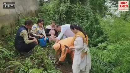 Shimla Mother Shyamala Welfare Society planted trees on Guru Purnima