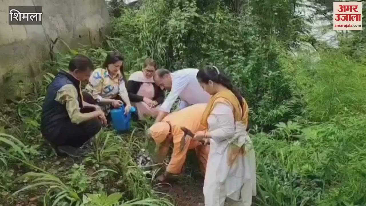 Shimla Mother Shyamala Welfare Society planted trees on Guru Purnima