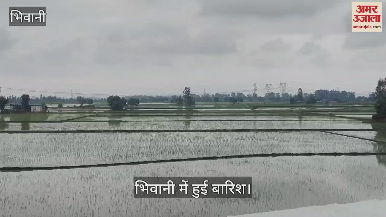 Rain in Bhiwani