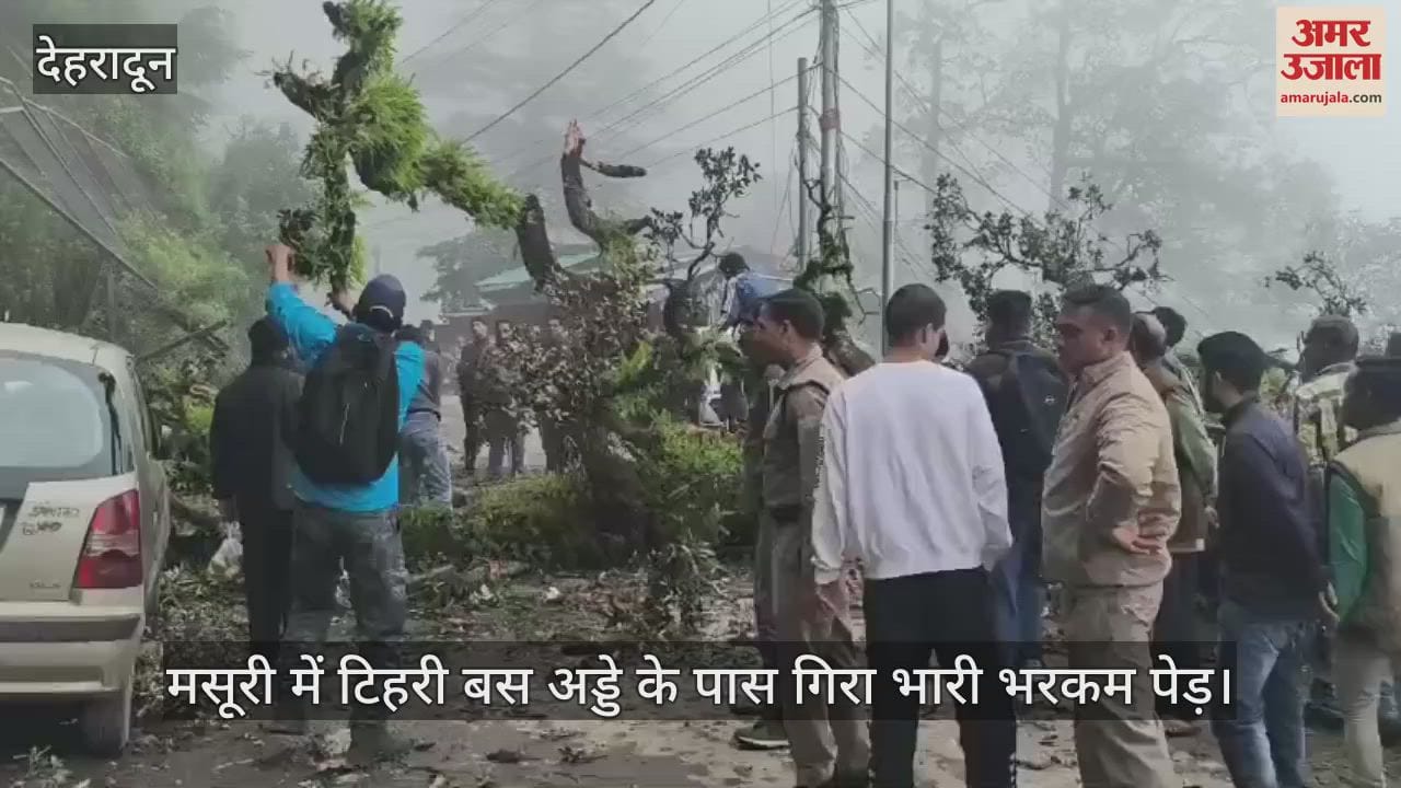 Mussoorie huge tree fell near Tehri bus stand, car and scooter got buried, vehicular movement stopped