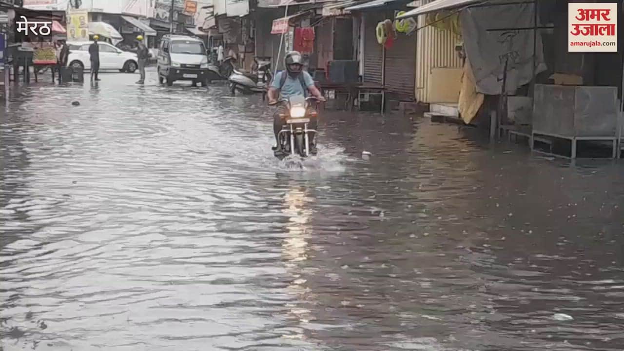 Meerut: The weather is pleasant due to the rain since morning, good rain is expected in the next two days
