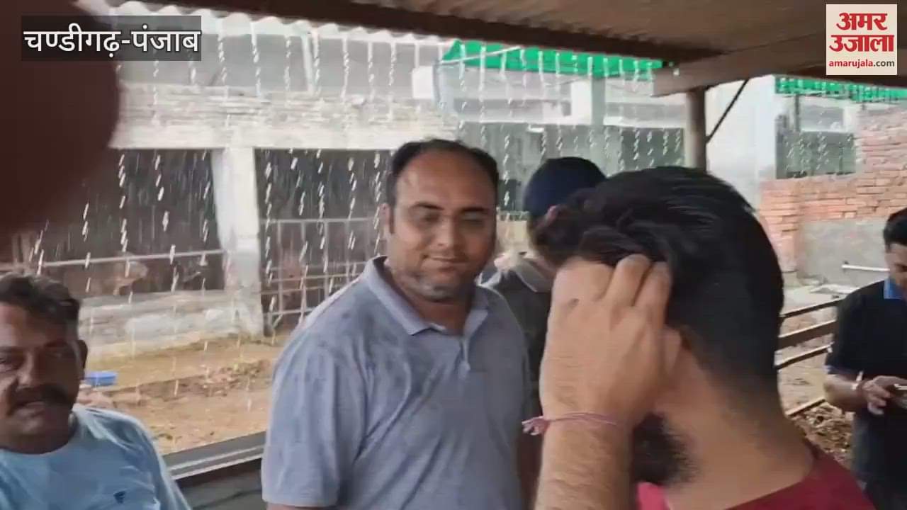 Gaurav Sachdeva became the head of Guruharsahaye Lions Club, all the members reached the cowshed to serve