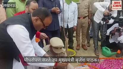 VIDEO: उप मुख्यमंत्री ब्रजेश पाठक ने किया पौधरोपण, नीम, पाकड़ और पीपल की पौध लगाई