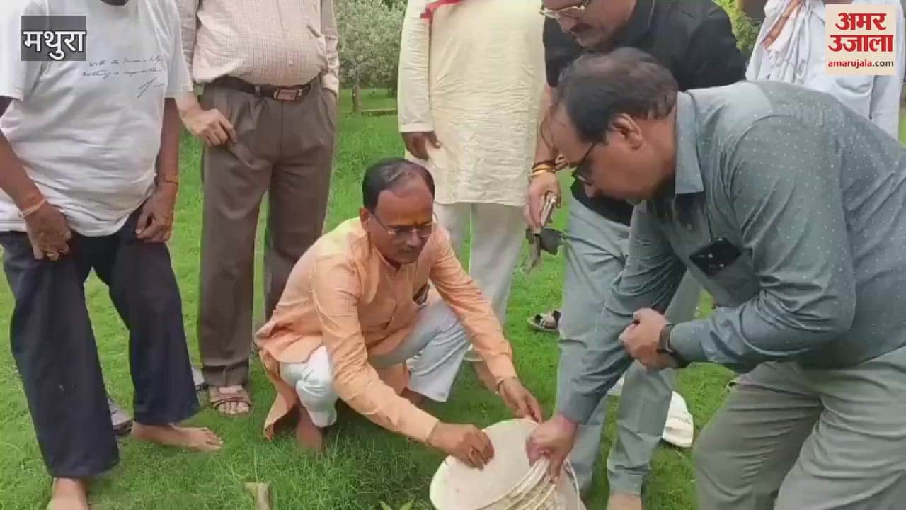 BJP members plantation at every booth