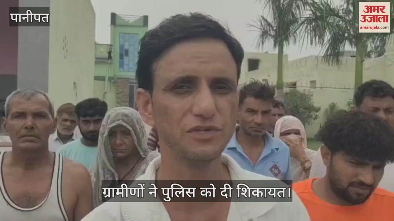 10 dogs died due to poisoning in Panipat