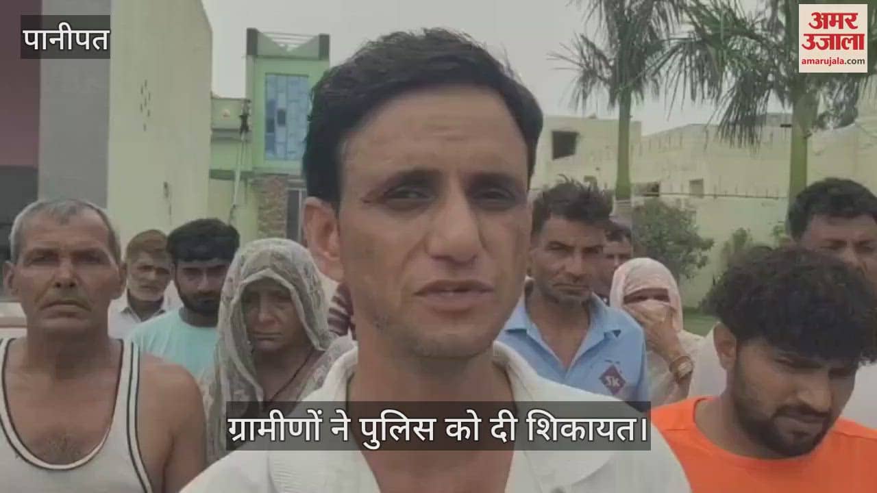 10 dogs died due to poisoning in Panipat