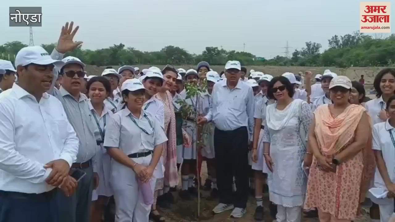Plantation campaign conducted in Noida