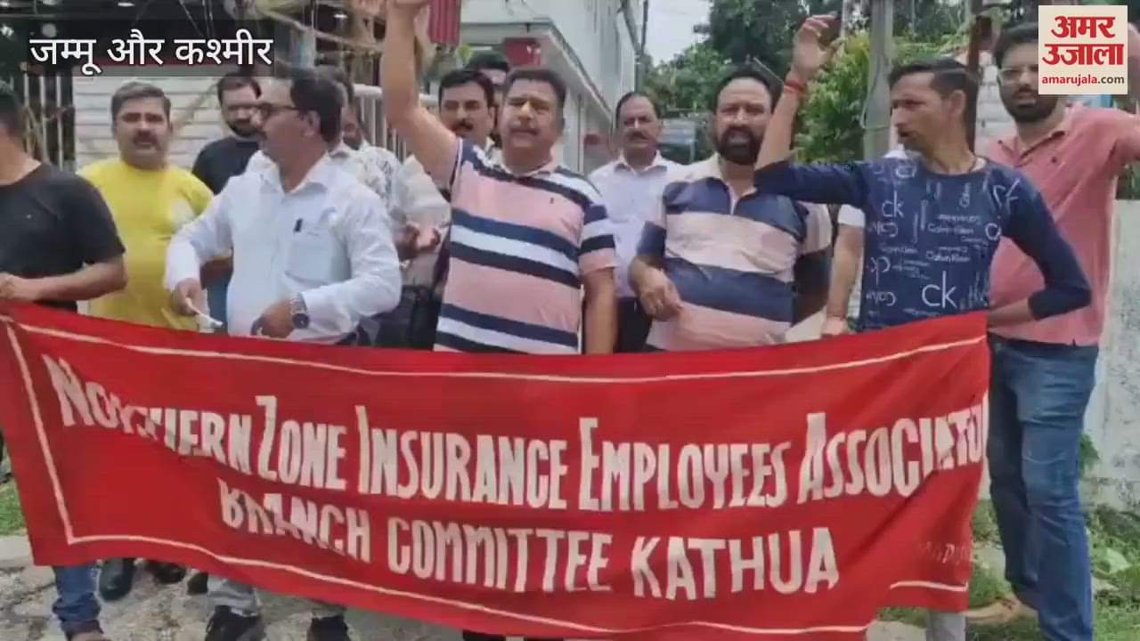 LIC employees on strike, protesting against the Centre's privatisation policy