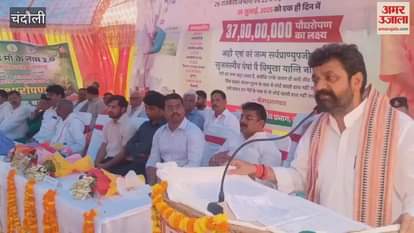 Dayashankar Mishra said Like mother trees also have great importance in human life