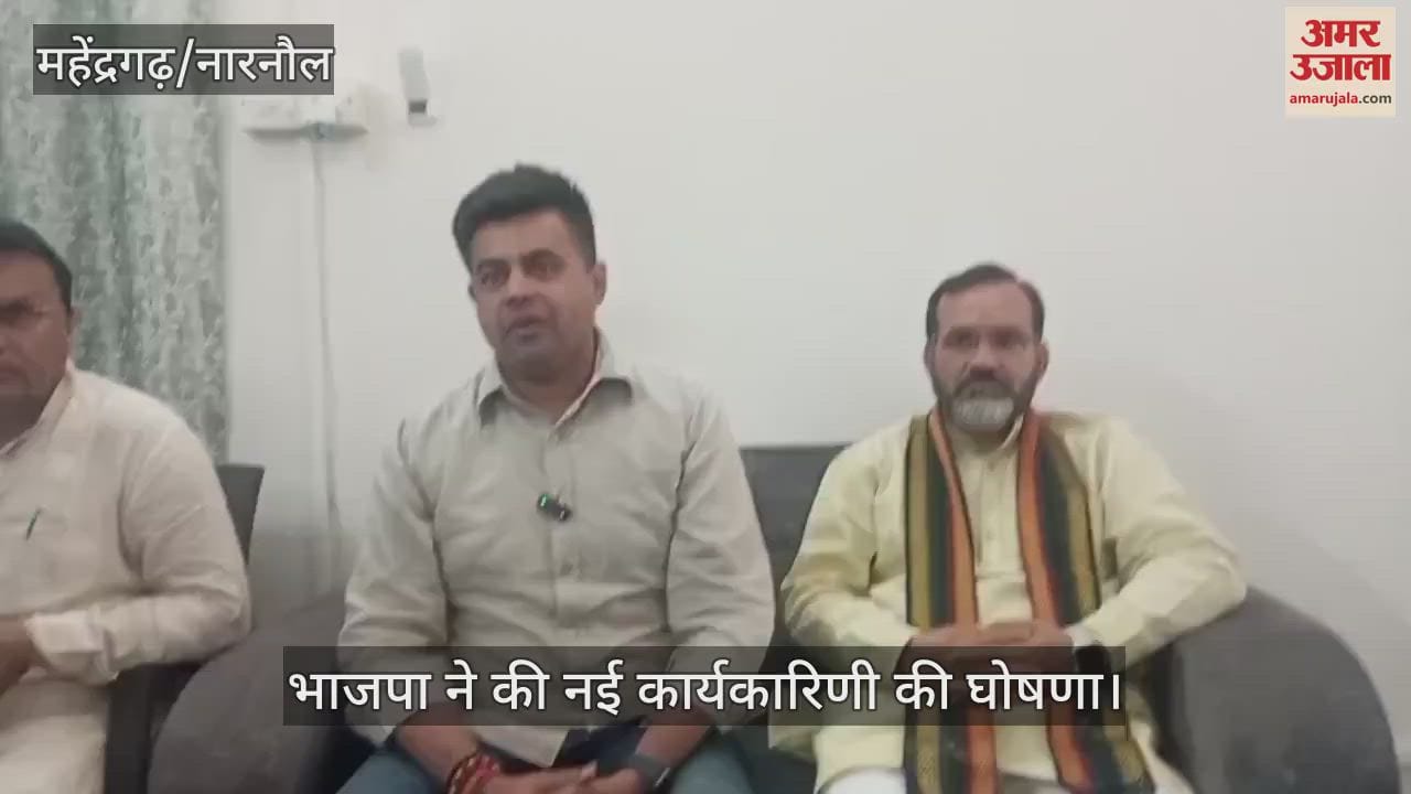 Formation of BJP district executive