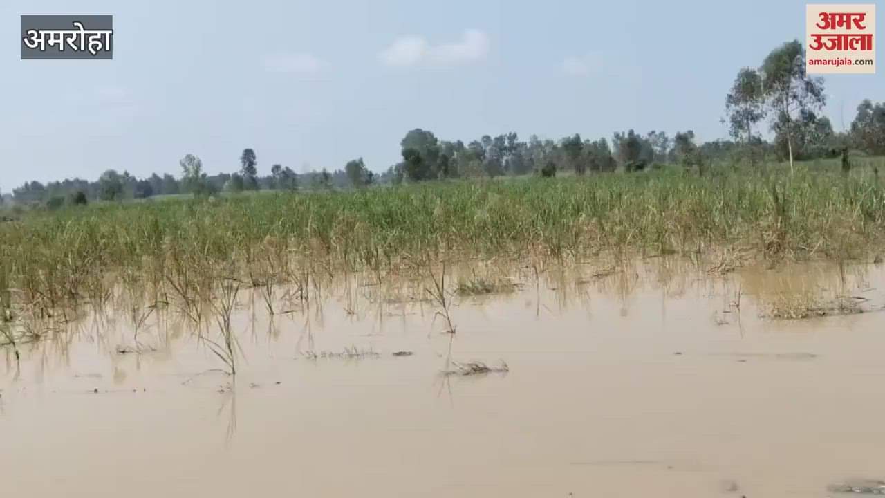 There is little prospect of sowing the next crop in the flooded fields.
