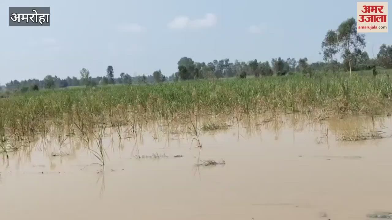 There is little prospect of sowing the next crop in the flooded fields.