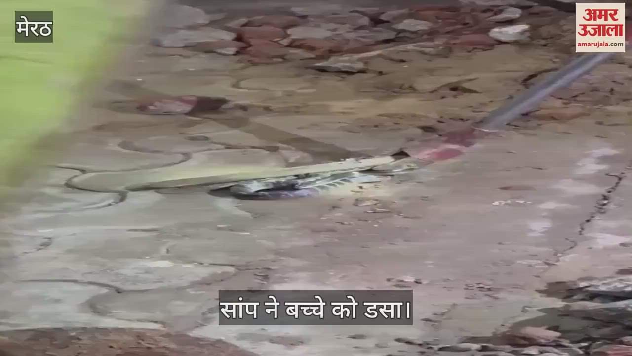 A ten-month-old child playing in the courtyard was bitten by a snake; the forest department team caught the snake.