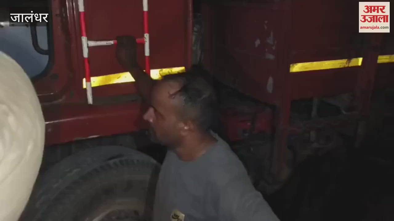 Hindu organizations seize a truck full of cows in Jalandhar