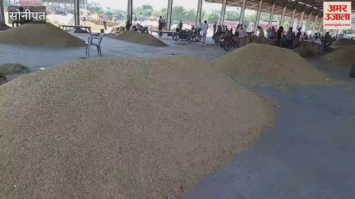 Rajasthan Tour Tute Di Pile Uomo Felpa Militare Uomo Felpe Tute