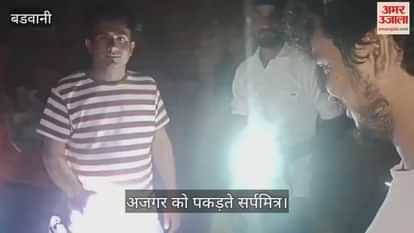 In Barwani, a 10-foot python swallowed two goat kids, rescued by a snake friend. When left in the forest,