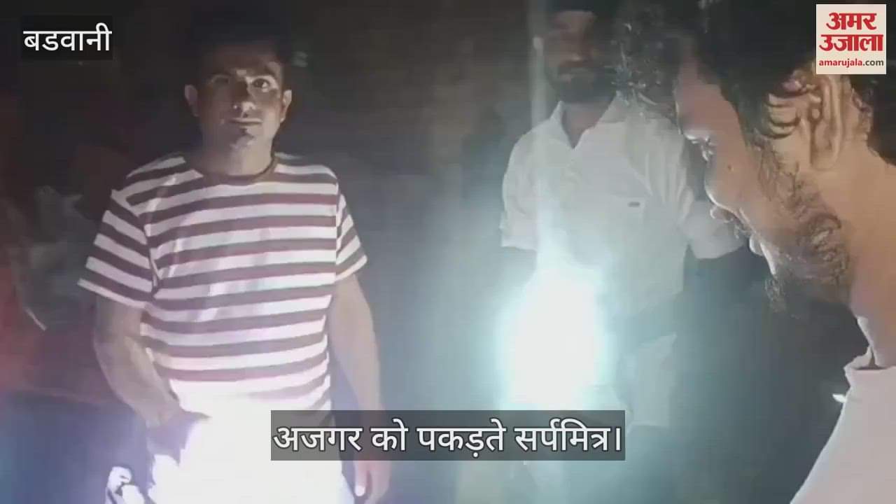 In Barwani, a 10-foot python swallowed two goat kids, rescued by a snake friend. When left in the forest,