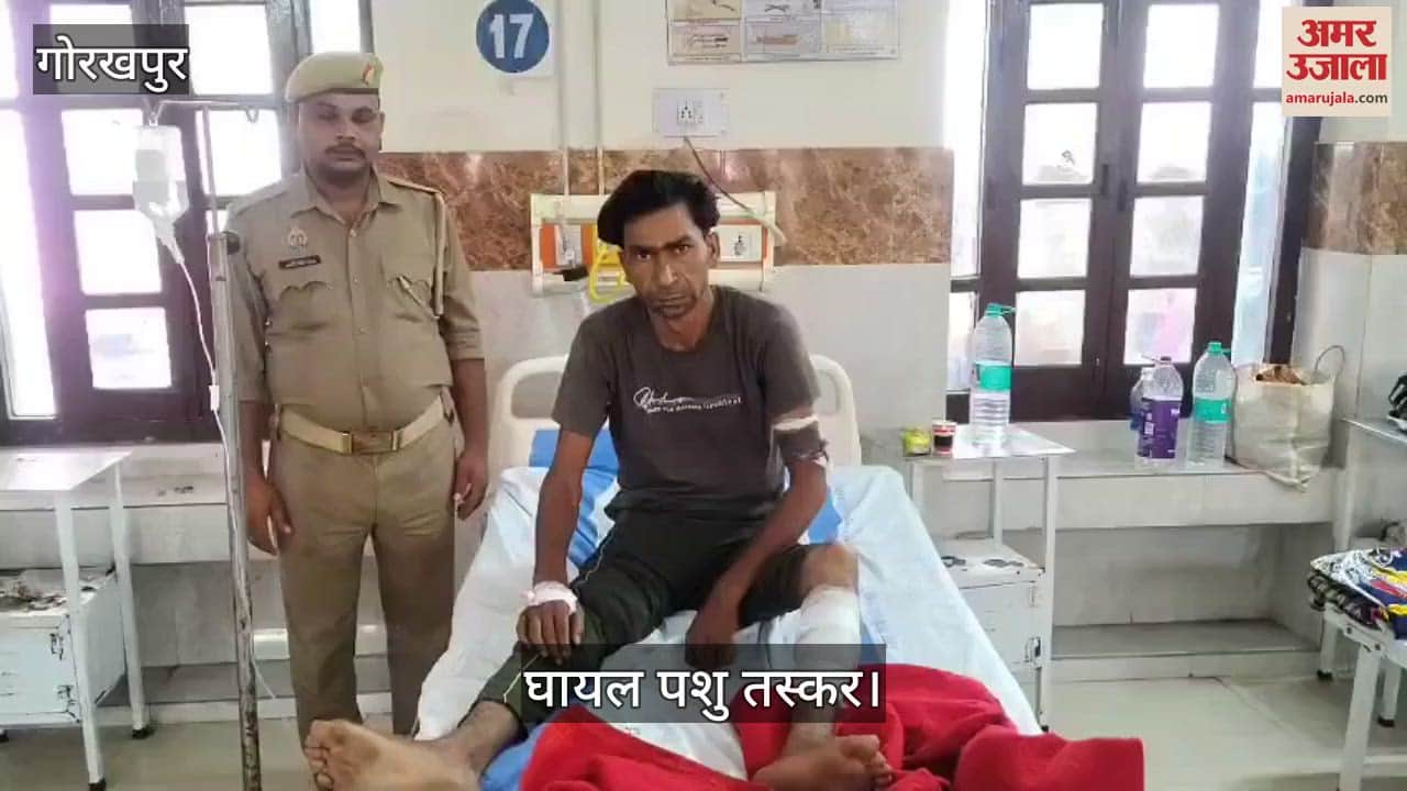 Rampur cattle smuggler carrying a reward of 25,000 rupees arrested in police encounter, shot in the leg