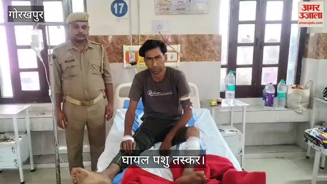 Rampur cattle smuggler carrying a reward of 25,000 rupees arrested in police encounter, shot in the leg