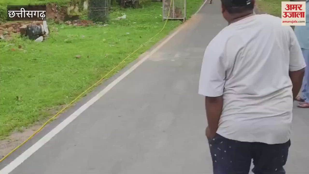 On the instructions of the Health Minister the troublesome monkeys are being shifted from Chirmiri