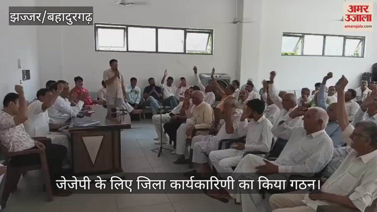 District executive committee formed for JJP