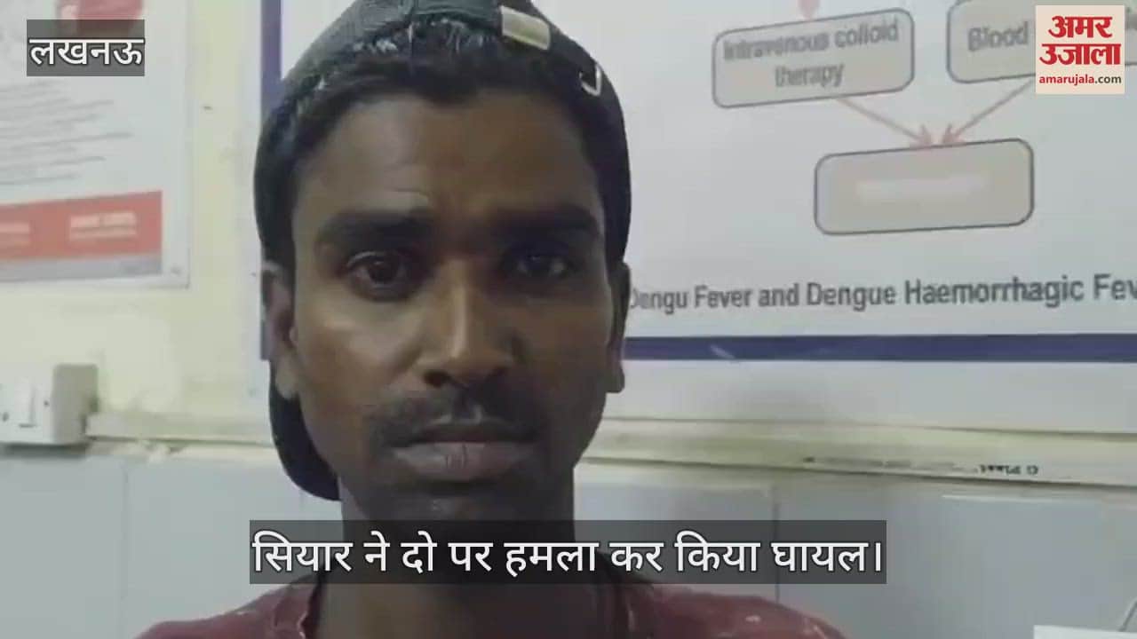 VIDEO: सियार ने दो पर हमला कर किया घायल, इलाज के बाद पुलिस के साथ भेजा गया