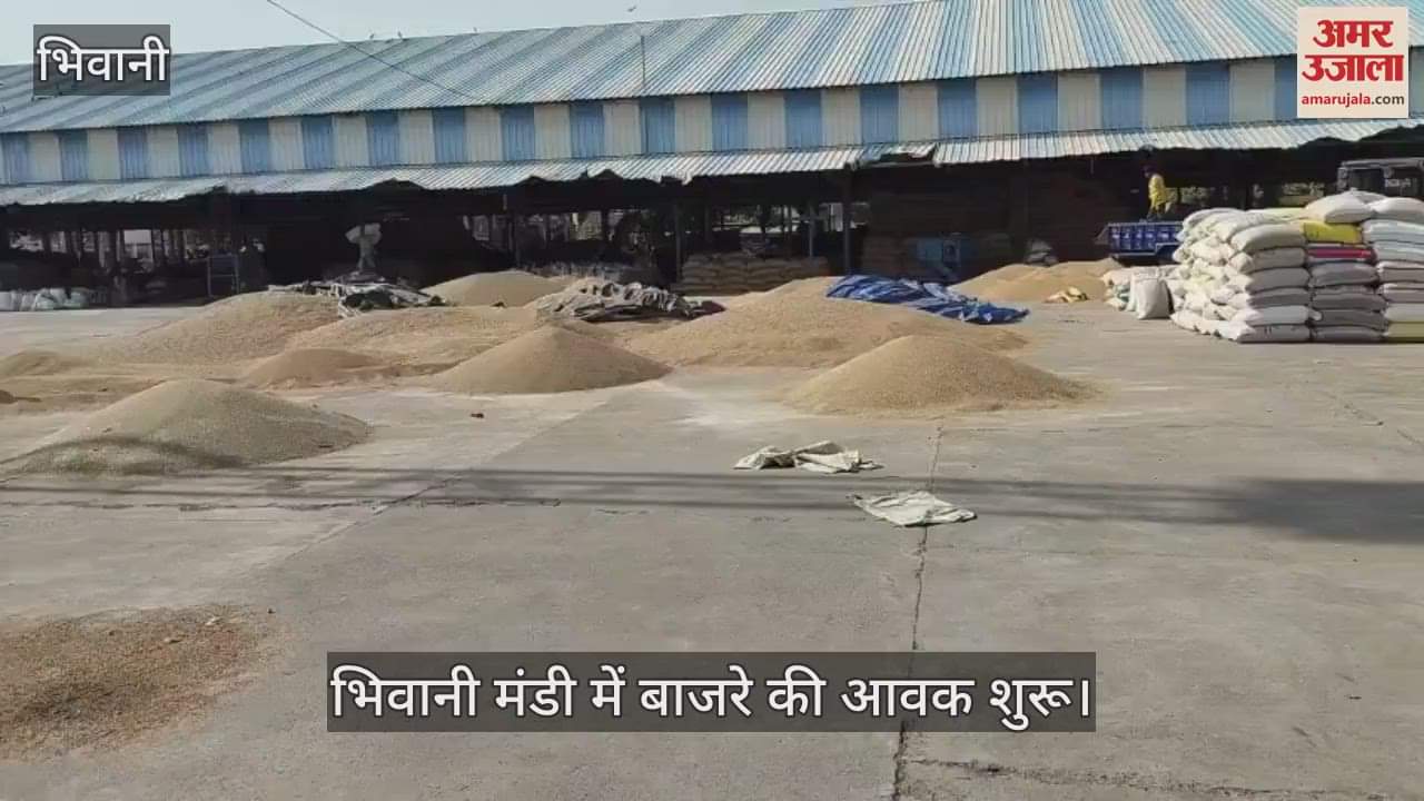 Farmers are worried as the purchase of millet has not started