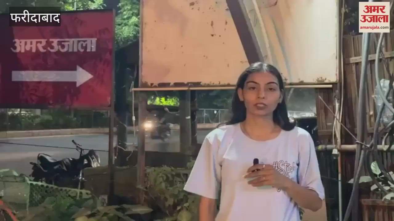 Dog bite cases are on rise in Faridabad