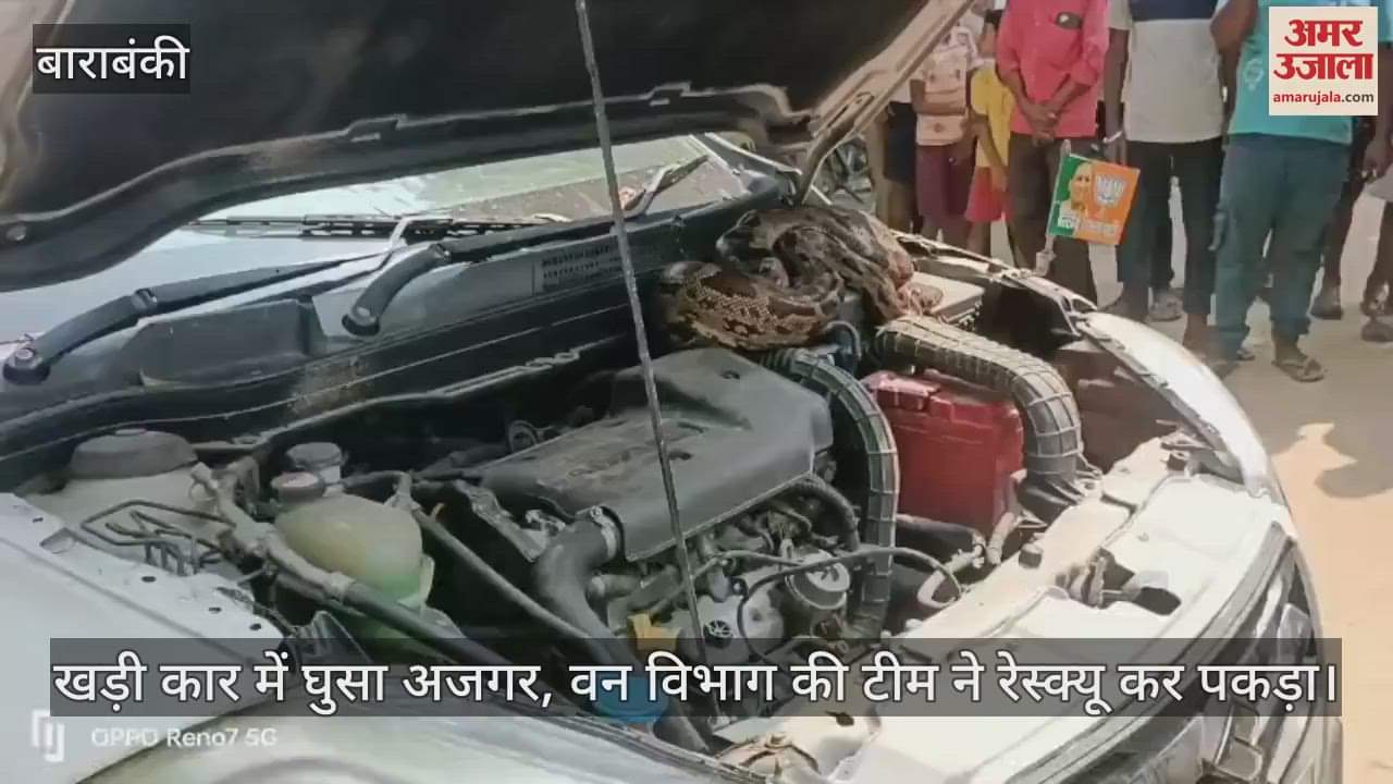 बाराबंकी में खड़ी कार में घुसा अजगर, वन विभाग की टीम ने रेस्क्यू कर पकड़ा