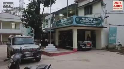 elephant separated from herd trampled young man to death In Korba