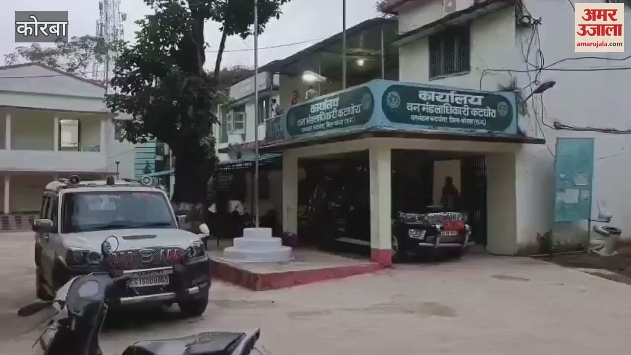 elephant separated from herd trampled young man to death In Korba