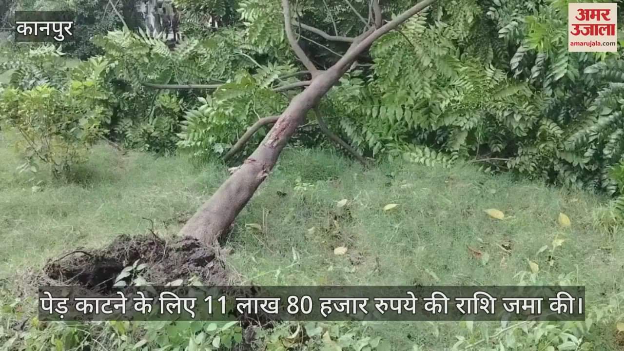 कानपुर: जवाहर विद्या समिति को भूखंड आवंटित, काटे जाएंगे पेड़…एनजीटी के आदेशों के तहत लिया गया फैसला