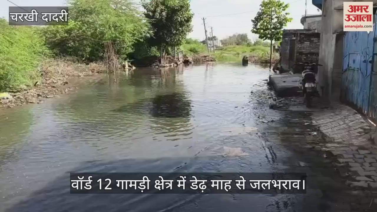 People are facing problems due to waterlogging
