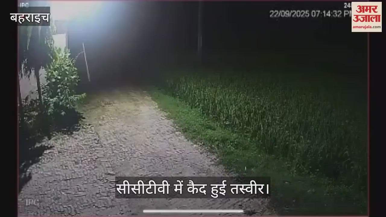 VIDEO: किसान के घर में घुसा तेंदुआ, सीसीटीवी कैमरे में कैद हुई तस्वीर