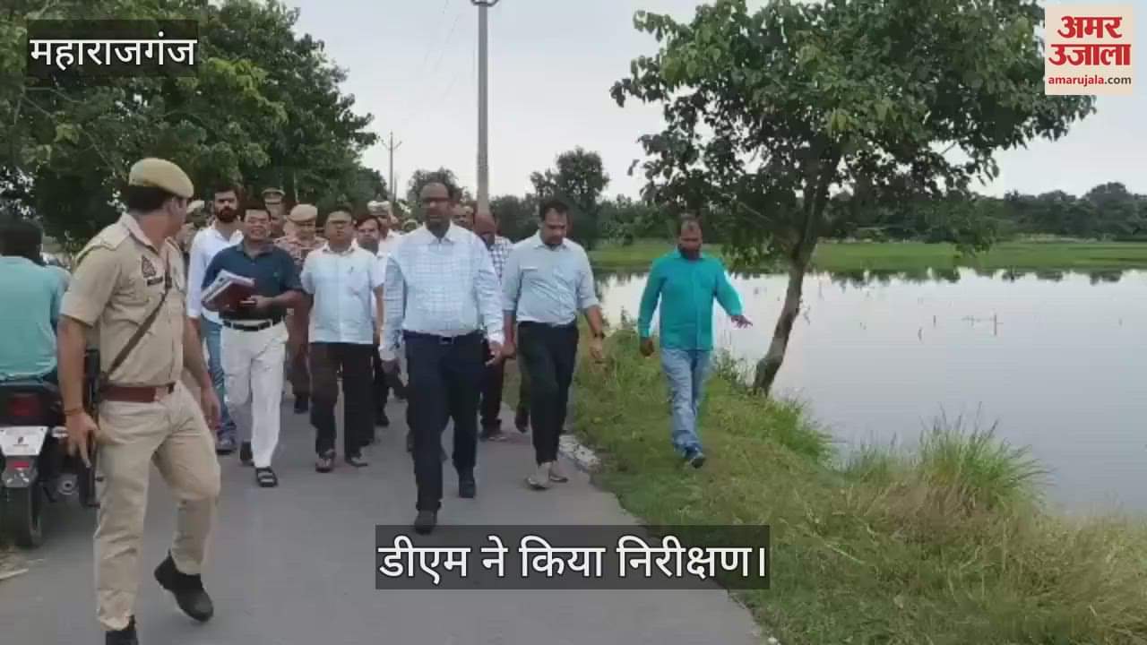DM inspected the Rohin river and gave instructions.
