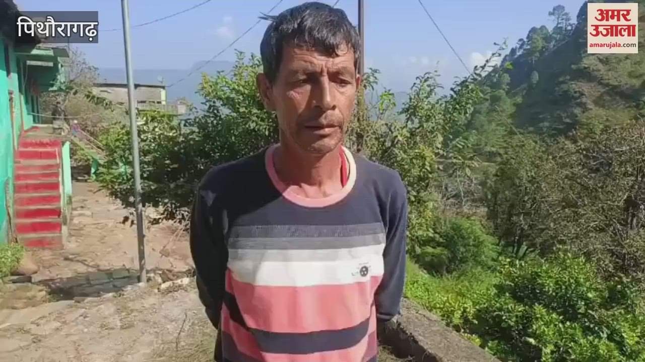 Leopard enters cattle shed in Serikanda Pithoragarh and kills 13 goats