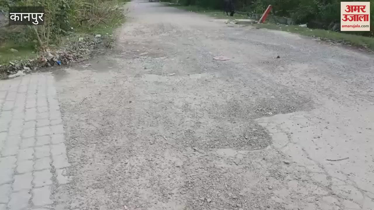 Expansion Plan Part One: Road in dilapidated condition, gravel spread